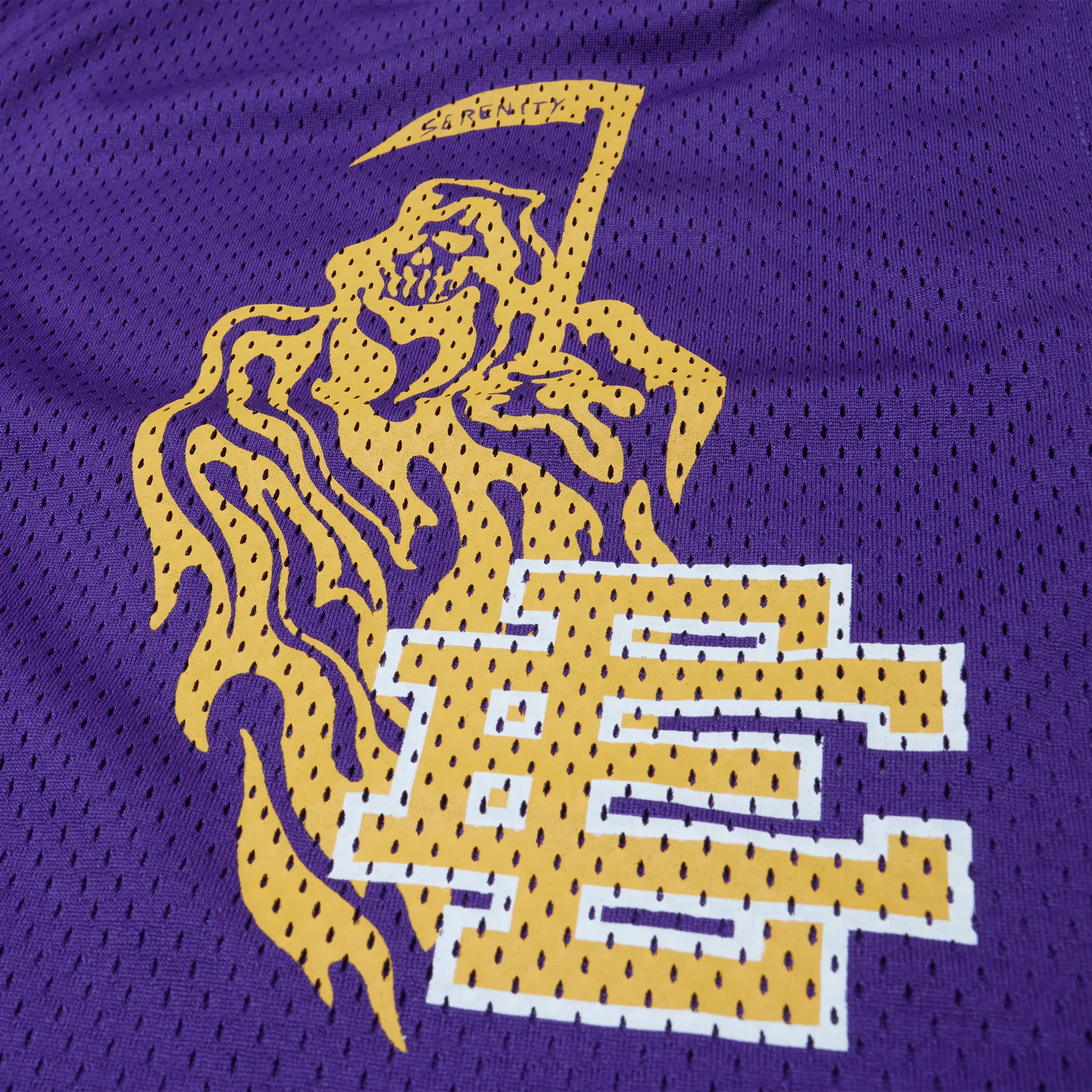 Detailed View of Eric Emanuel x Warren Lotas Purple Yellow Shorts (FW24)